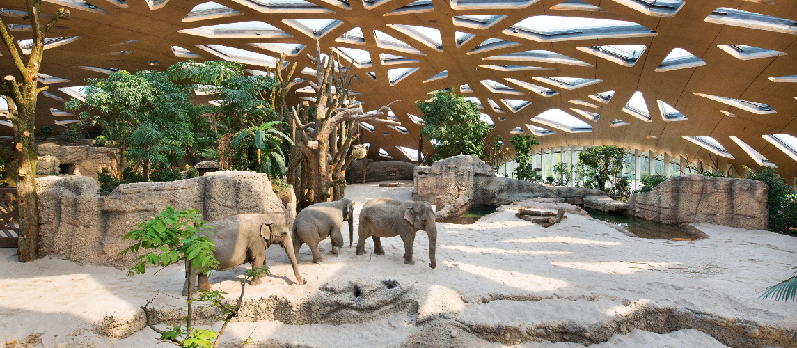 Strain distribution in shell construction, Elephant Park Zoo Zürich (CH)
